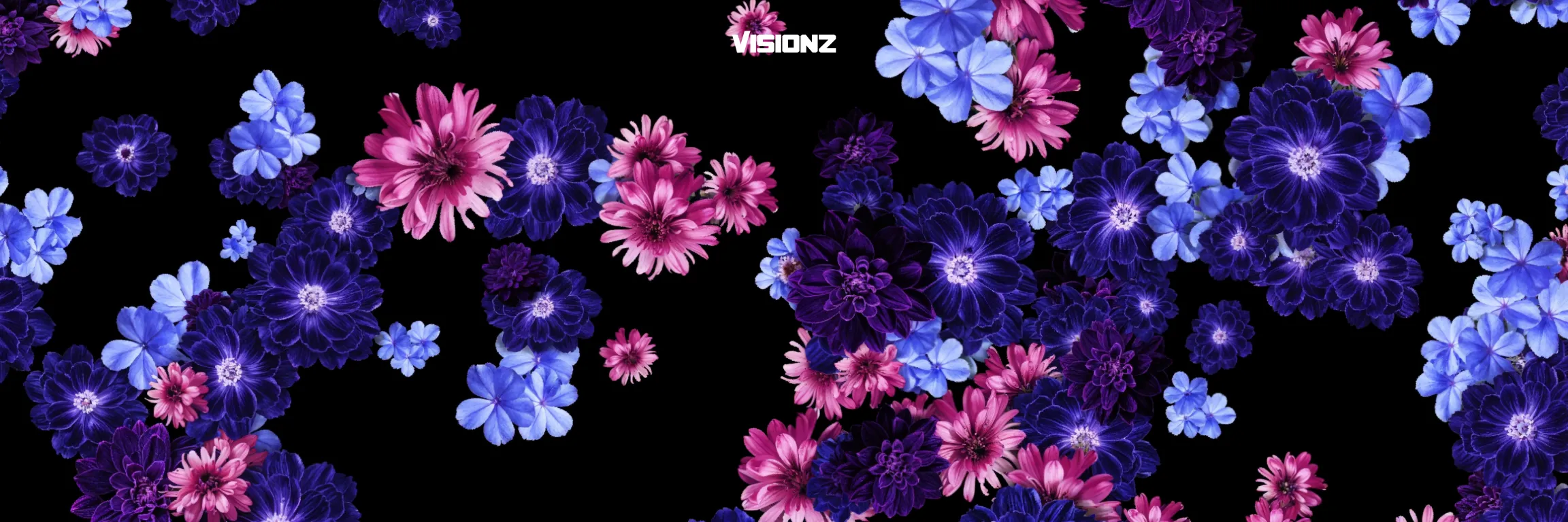 Visionz_LPP_Visuals_15