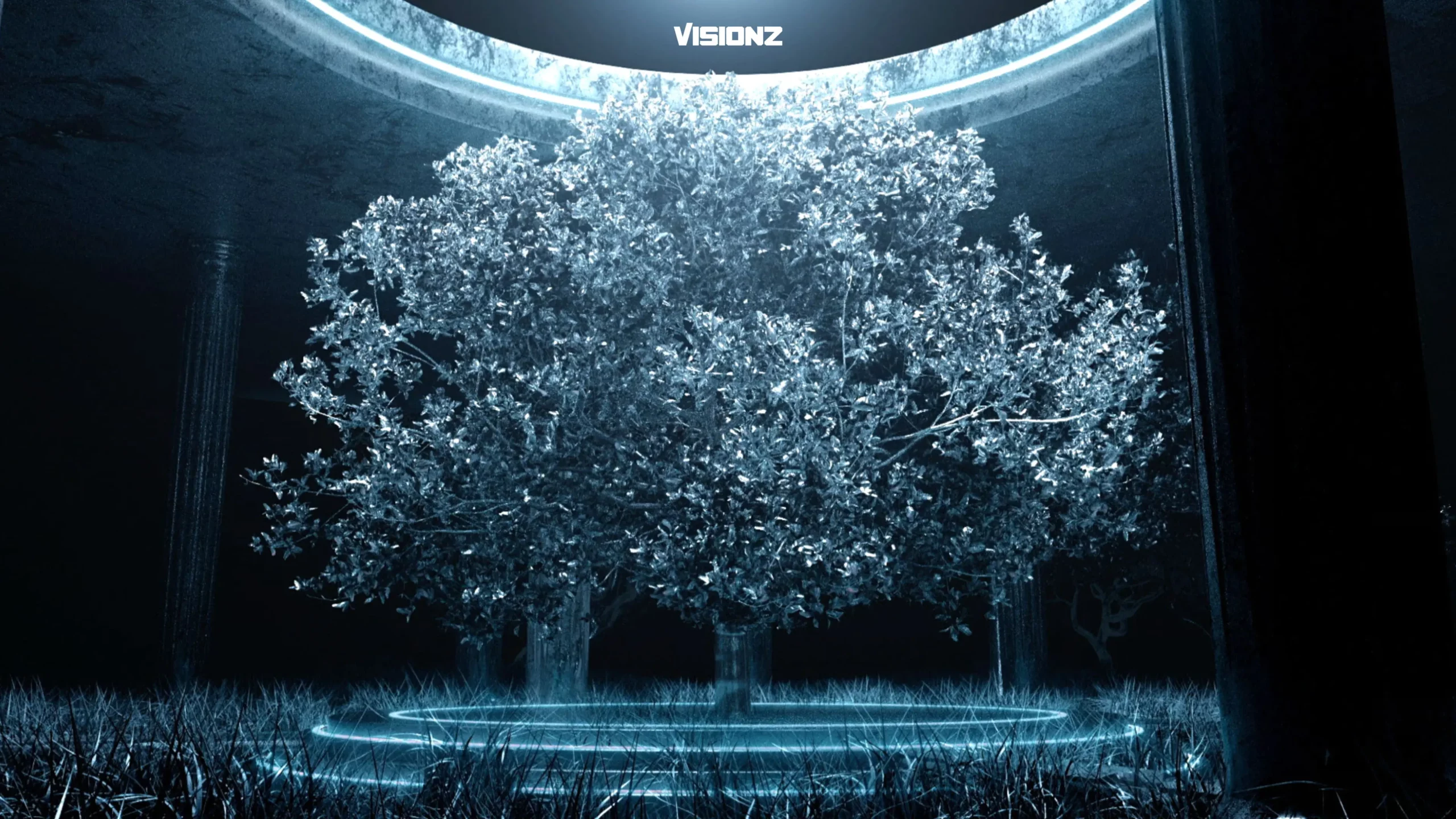 Visionz_Trym_Visuals_7