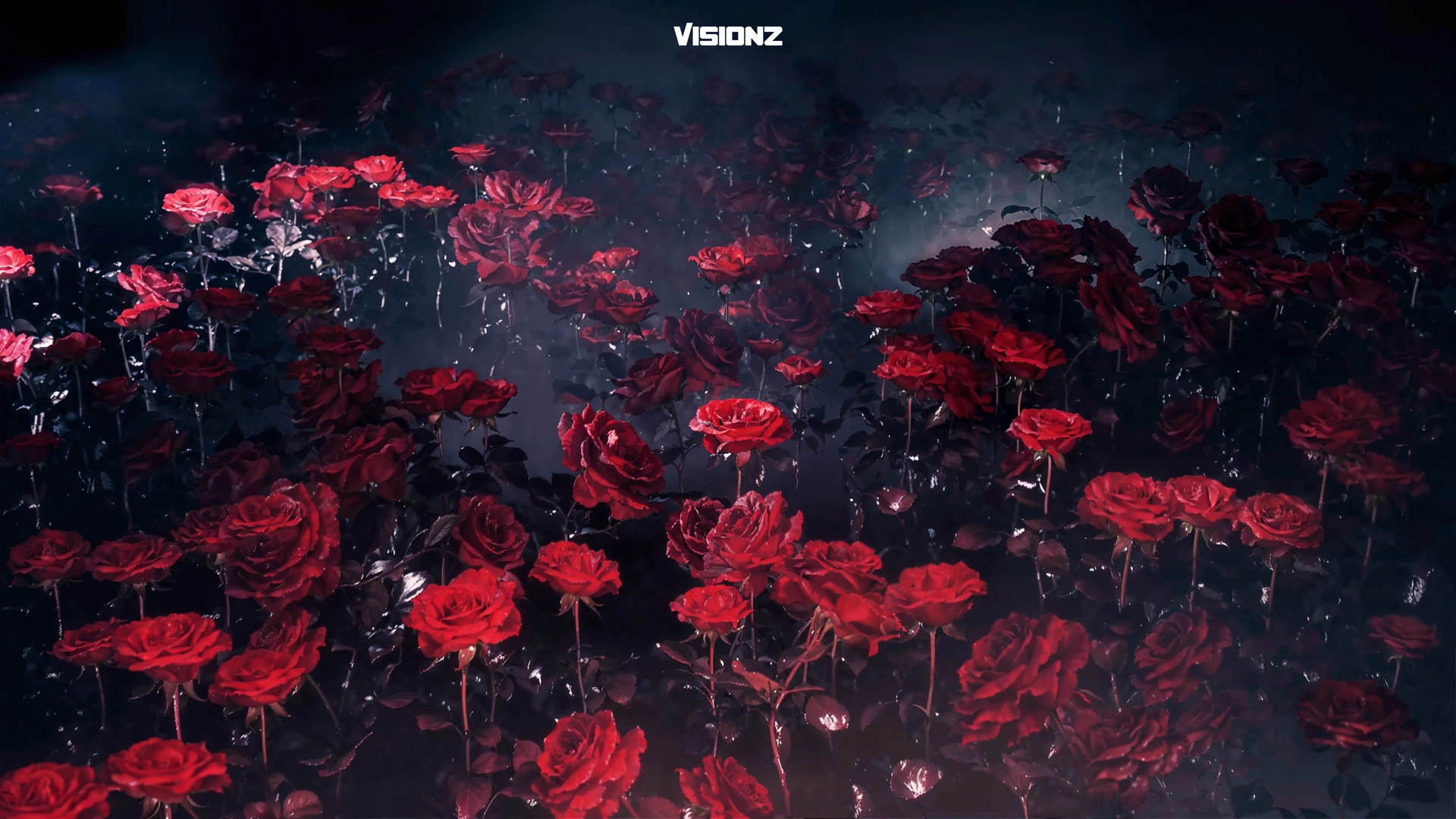 Visionz_Amor_Visuals_18