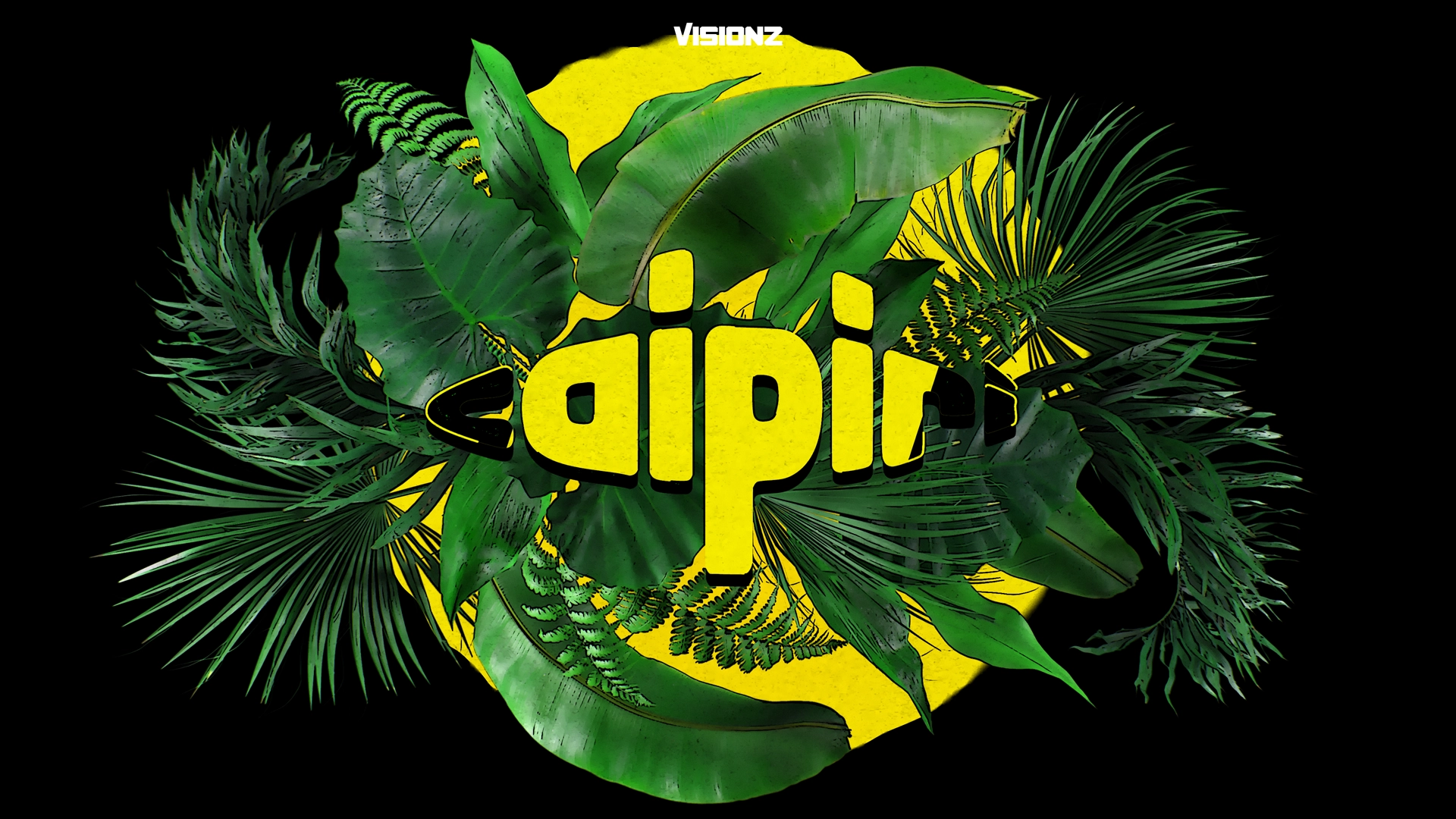 Visionz_Caipiri_Visuals_7